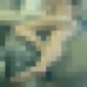 Contacte Elodie, 34 ans à Aixe-sur-Vienne en t'inscrivant