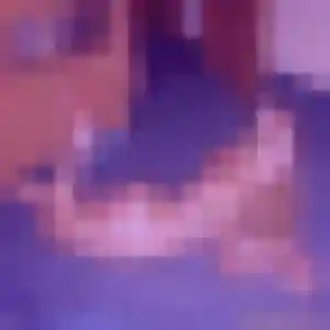 Naomi, 22 ans, veut un rencontre sexy à Bain-de-Bretagne