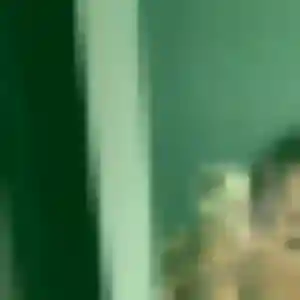 Oceane (26 ans) à Bénodet attend un rencontre sexy aujourd'hui