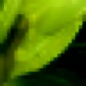 Coralie, 37 ans, connectée à Beuzeville pour une rencontre coquine