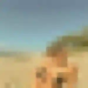 Mathilda (42 ans) à Beuzeville attend une rencontre maintenant