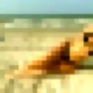 Photo sexy de Flore, 34 ans à Beynes - rencontre coquine