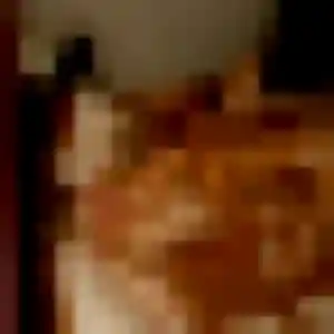 Photo perso de Rosalie, 28 ans à Blanquefort - rencontre sans lendemain