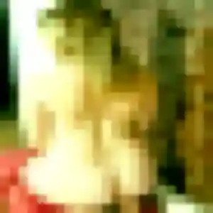 Photo exclusive de Clementine, 41 ans à Boissy-sous-Saint-Yon - rencontre sans lendemain