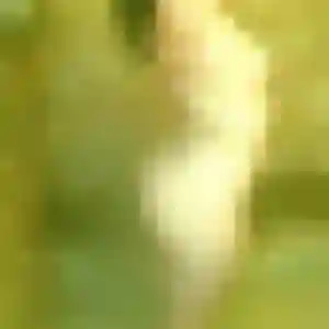 Anastasia, 19 ans, cherche un rencontre sexy à Brech