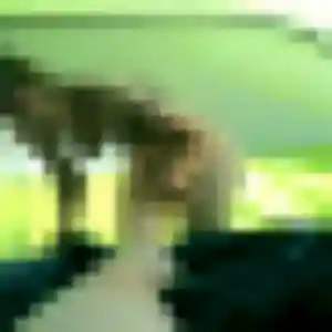 Hortense, 27 ans, connectée à Breuillet pour un rencontre sexy