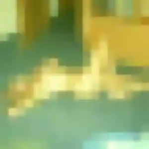 Profil de Laure à Buc (23 ans) - rencontre sexy sans inscription