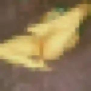 Sexy Vanessa, 43 ans à Buxerolles - voir sa photo