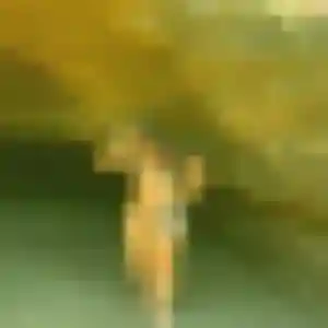 Claire, 35 ans, connectée à Cenon pour une rencontre coquine