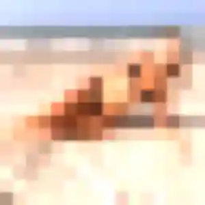 Melanie (29 ans) à Château-Thébaud cherche un rencontre sexy maintenant
