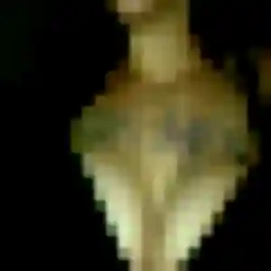 Sexy Nina, 25 ans à Château-Thébaud - voir sa photo