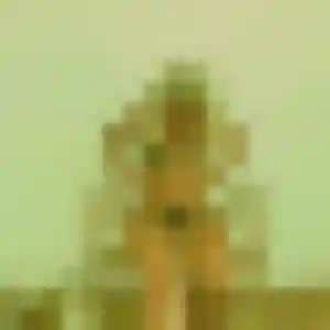 rencontre sexy à Chauvé : photo de Anne, 38 ans - accès libre