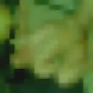 Photo exclusive de Clarisse, 20 ans à Cossé-le-Vivien - rencontre coquine