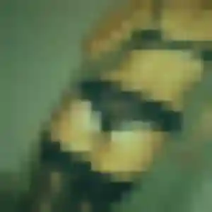 rencontre sexy à Dives-sur-Mer : photo de Karen, 20 ans - sans engagement