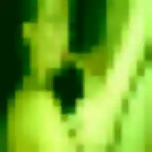 Découvre Svetlana, 29 ans à Domfront en Poiraie en privé