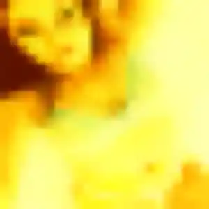 Photo de Priscilla à Échiré (37 ans) - rencontre sexy discret