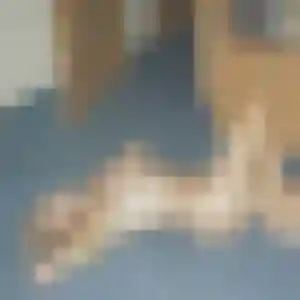 Ava de Elbeuf, 43 ans - rencontre sexy sans lendemain