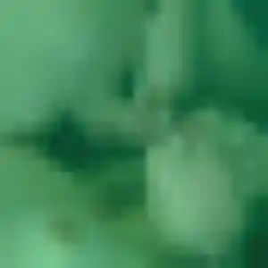 Sexy Roxane, 31 ans à Fay-de-Bretagne - voir sa photo
