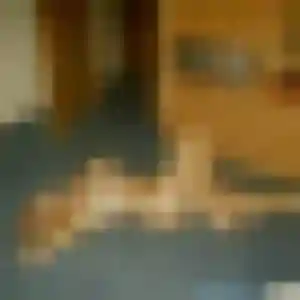 Marie-Jeanne, femme de 20 ans veut rencontre sexy à Férel