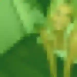 Photo perso de Delice, 42 ans à Frossay - plan discret