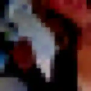Anastasia, 42 ans, veut un rencontre sexy à Gévezé