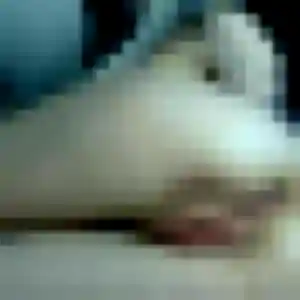 Laurence, 22 ans, dispo pour rencontre sexy à Gournay-en-Bray