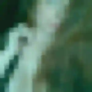 Jolie Jennifer, 21 ans à Gournay-sur-Marne - découvrir son profil