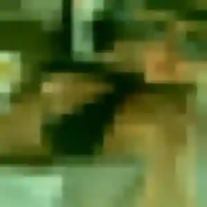 Djamila (32 ans) à Gouville-sur-Mer attend un rencontre sexy ce soir