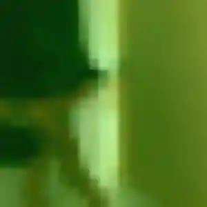 Iseult, 27 ans, connectée à Ivry-sur-Seine pour une rencontre coquine