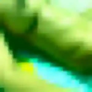 Sexy Charlotte, 41 ans à La Gacilly - voir sa photo