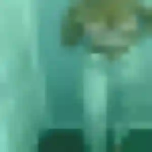 Photo de Yael à La Gacilly (23 ans) - rencontre sexy discret