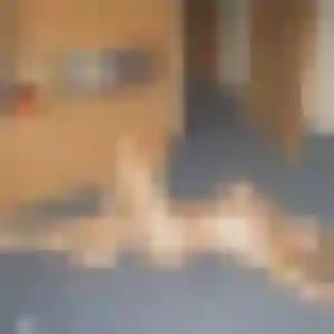 rencontre sexy à La Ville-du-Bois : photo de Leontine, 30 ans - sans engagement