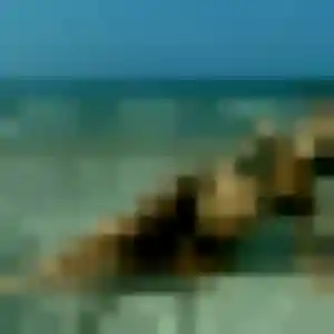 Pierrette, fille de 37 ans veut rencontre sexy à Lanton
