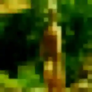 Photo privée de Kim, 22 ans à Lardy - plan discret