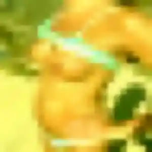 Anne-Sophie (45 ans) à Le Petit-Quevilly attend un rencontre sexy ce soir