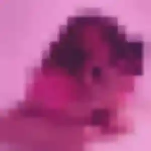 Rym, 43 ans, disponible à Les Hauts-d'Anjou pour une rencontre coquine