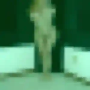 Lucie, fille de 39 ans veut rencontre sexy à Lésigny