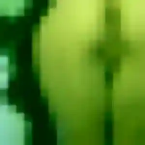 Gilberte, femme de 27 ans propose rencontre sexy à Marennes-Hiers-Brouage