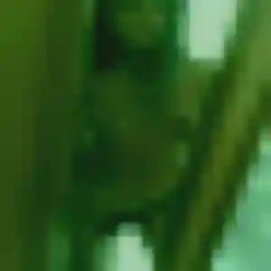 rencontre sexy à Mauges-sur-Loire : photo de Anouk, 35 ans - accès libre