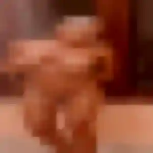 Photo de Celine à Merlevenez (21 ans) - rencontre sexy discret