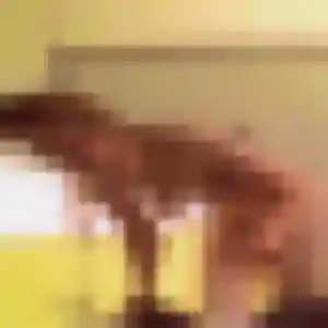 Irina de Monterblanc, 21 ans - rencontre sexy en toute liberté