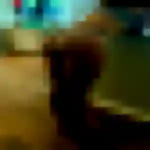Photo de Margaux à Montmorency (36 ans) - rencontre sexy discret