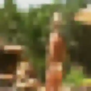 Catherine, 26 ans, en ligne à Morannes sur Sarthe-Daumeray pour une rencontre coquine