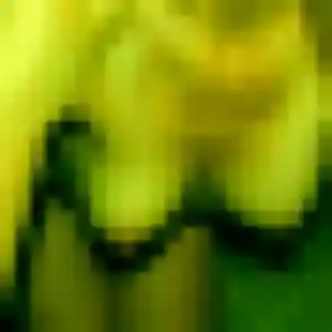 Leonore, 26 ans, en ligne à Mordelles pour une rencontre coquine