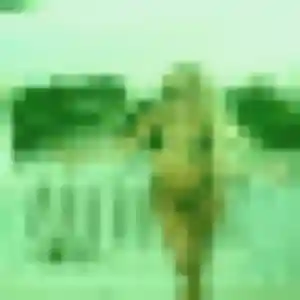 Anouk de Pleurtuit, 43 ans - rencontre sexy sans prise de tête