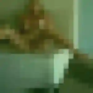 Photo perso de Ameline, 26 ans à Ploeren - rencontre coquine