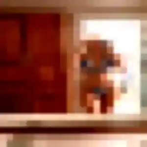 Vinciane, 28 ans, en ligne à Saint-Brevin-les-Pins pour une rencontre coquine