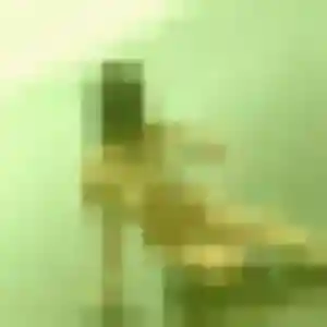 Francine, femme de 19 ans cherche rencontre sexy à Saint-Évarzec