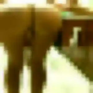 Clementine, 21 ans, dispo pour rencontre sexy à Saint-Georges-d'Oléron