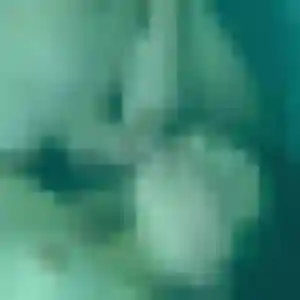 Lucienne, 43 ans, cherche un rencontre sexy à Saint-Georges-de-Didonne